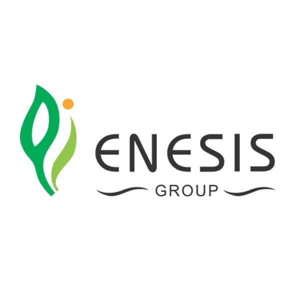 Enesis Group